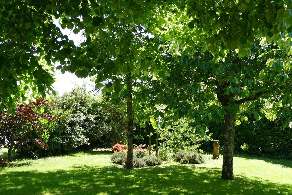 Le Clos Des Perraudieres Cour-Cheverny Ngoại thất bức ảnh