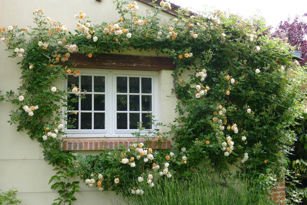 Le Clos Des Perraudieres Cour-Cheverny Ngoại thất bức ảnh